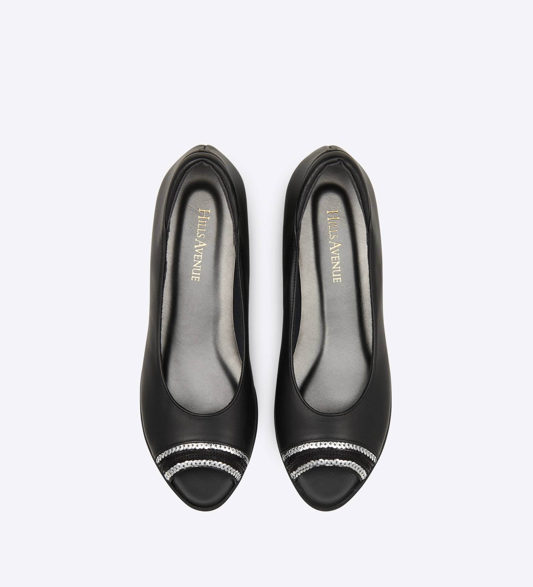 ���B�N�g���A