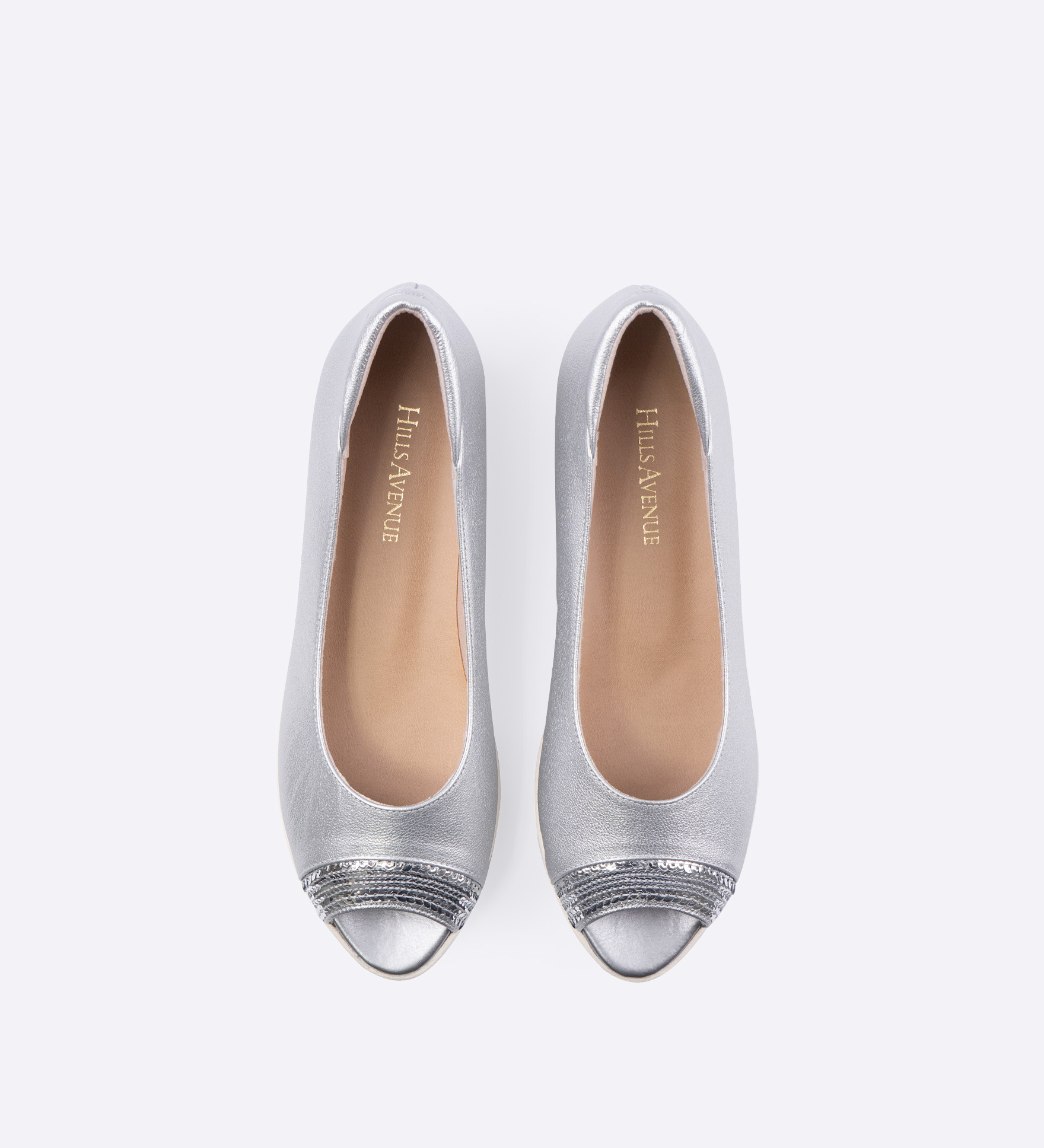 ���B�N�g���A