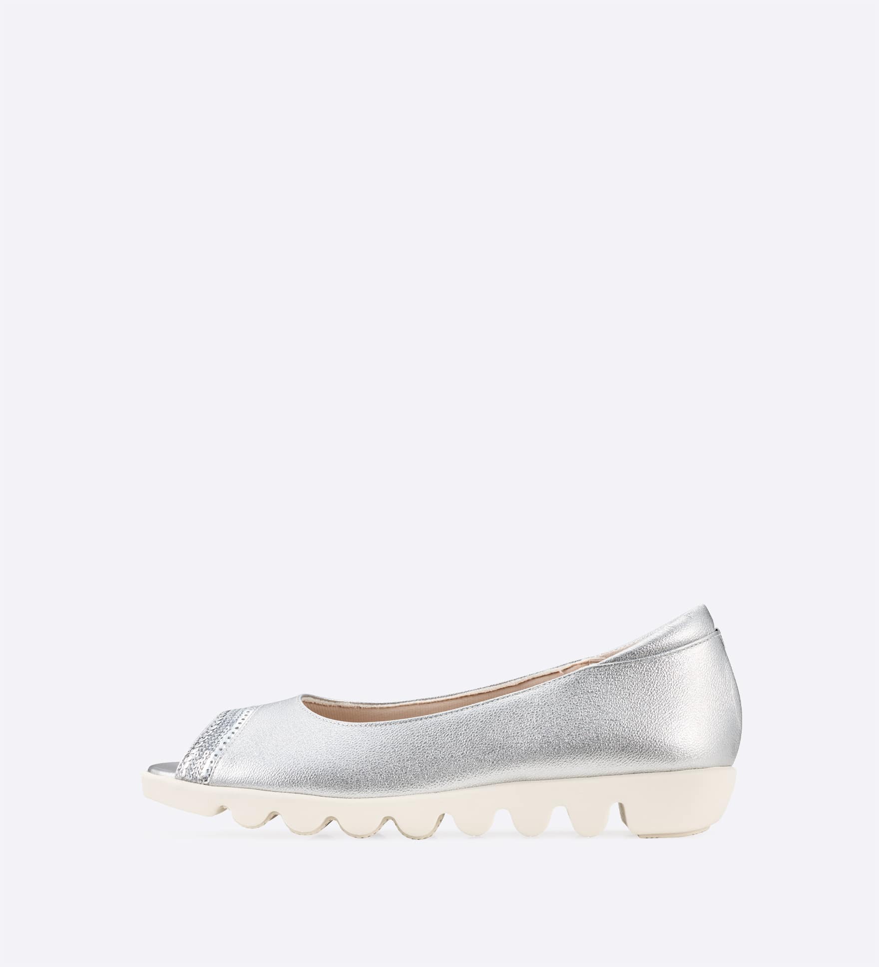 ���B�N�g���A