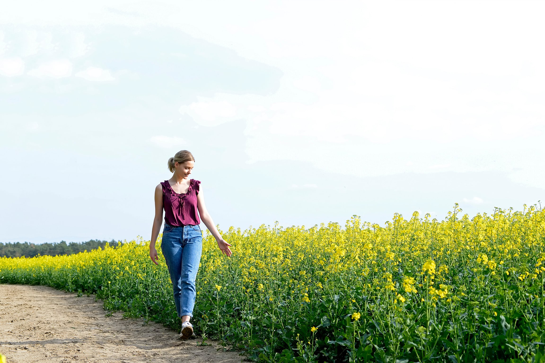 ���K���Ƃ������𗼗��I���������ɂ��Ȃ�Ȃ����f�B�[�X�C�̑I�ѕ�